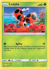 009 Ledyba