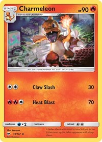 019 Charmeleon