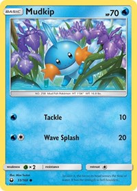 033 Mudkip 33