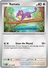 019 Rattata