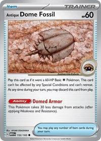 152 Antique Dome Fossil