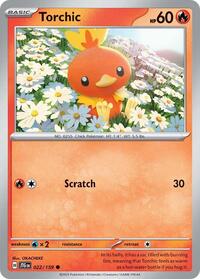 022 Torchic