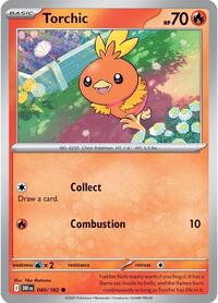 040 Torchic