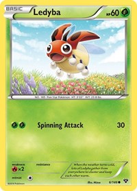 006 Ledyba