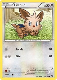 108 Lillipup