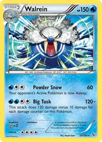 026 Walrein