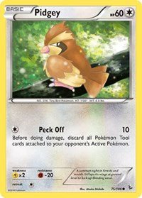 075 Pidgey