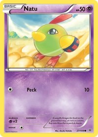 027 Natu 27